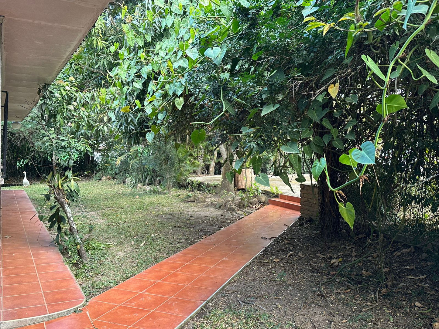 Finca amplia en Galeras, Francisco Morazán cerca de Zamorano con casa y pozo de agua
