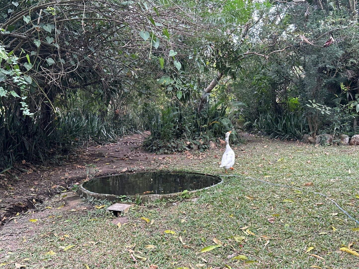 Finca amplia en Galeras, Francisco Morazán cerca de Zamorano con casa y pozo de agua