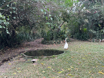 Finca amplia en Galeras, Francisco Morazán cerca de Zamorano con casa y pozo de agua