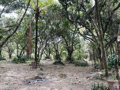 Finca amplia en Galeras, Francisco Morazán cerca de Zamorano con casa y pozo de agua