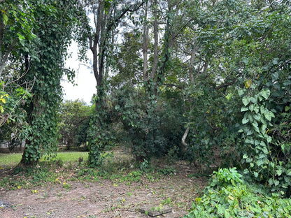 Finca amplia en Galeras, Francisco Morazán cerca de Zamorano con casa y pozo de agua