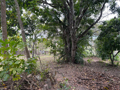Finca amplia en Galeras, Francisco Morazán cerca de Zamorano con casa y pozo de agua