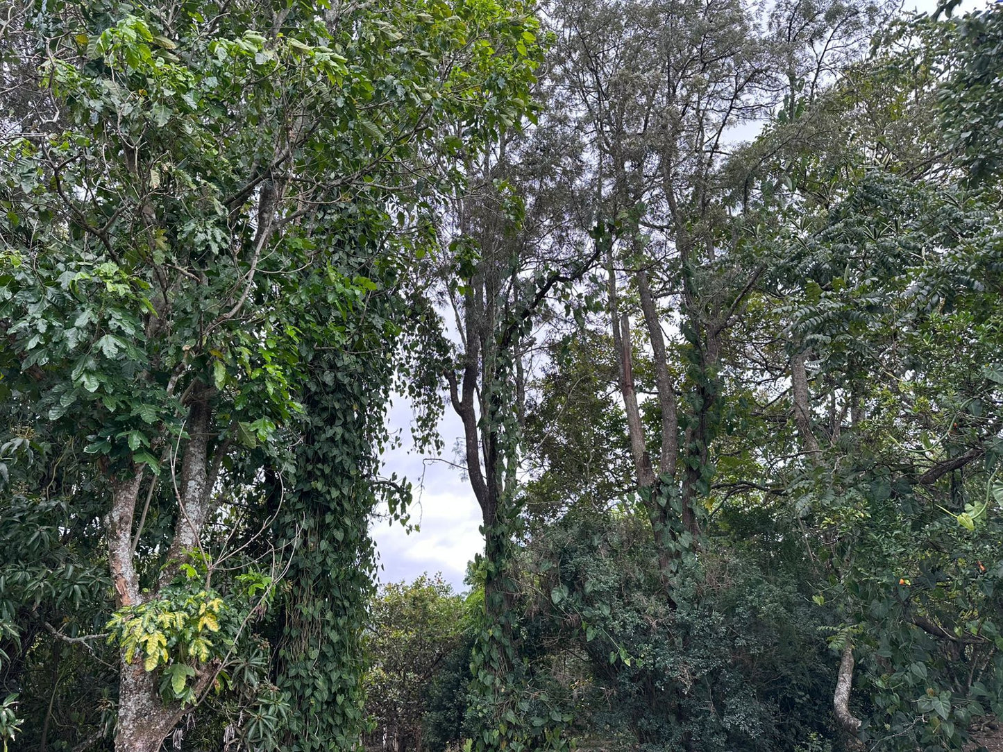 Finca amplia en Galeras, Francisco Morazán cerca de Zamorano con casa y pozo de agua