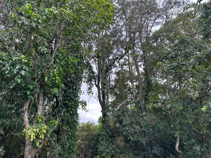 Finca amplia en Galeras, Francisco Morazán cerca de Zamorano con casa y pozo de agua