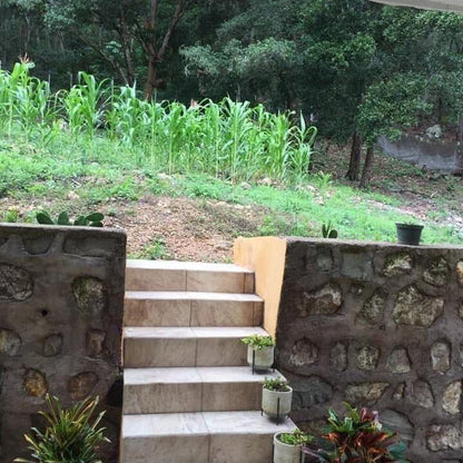 Casa en venta en Residencial Villa Elena, Francisco Morazán de 3 plantas con terrazas, vista y terreno amplio ideal para inversión