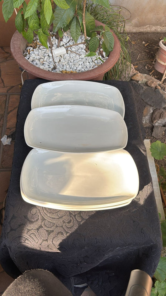 Juego de platos largos