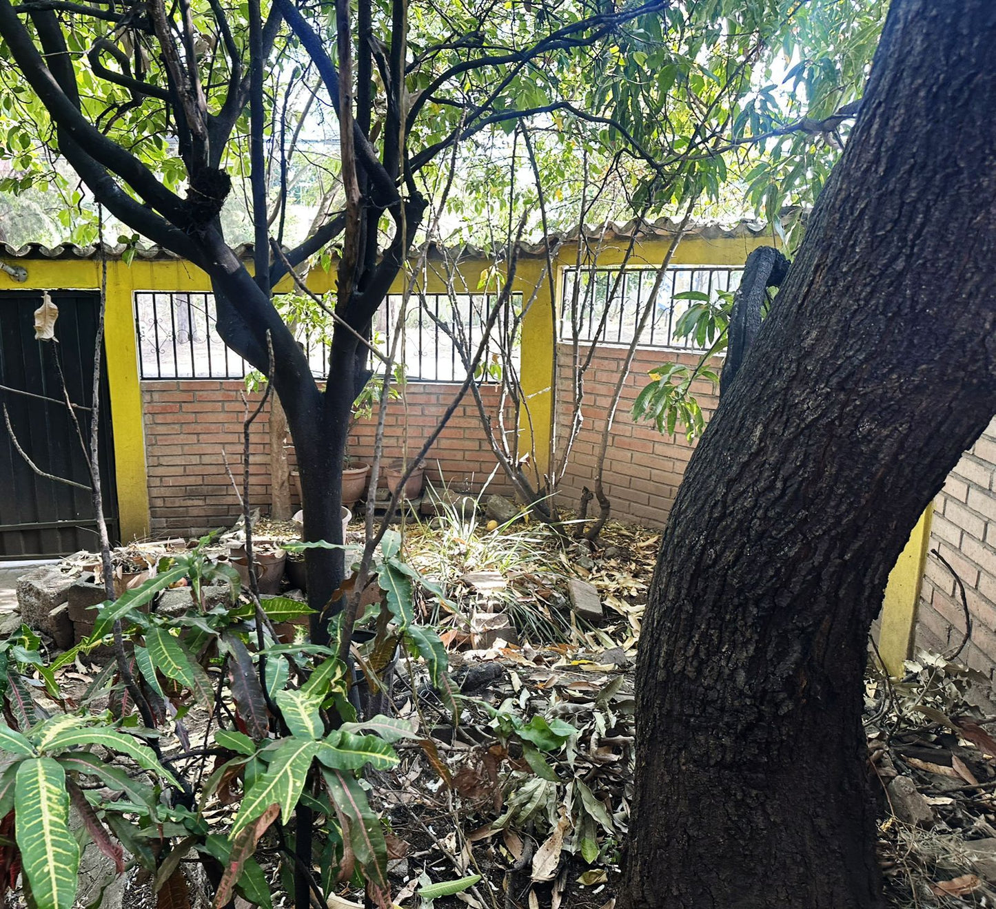 Propiedad en venta en Colonia El Hogar, Tegucigalpa ideal para inversión comercial o apartamentos