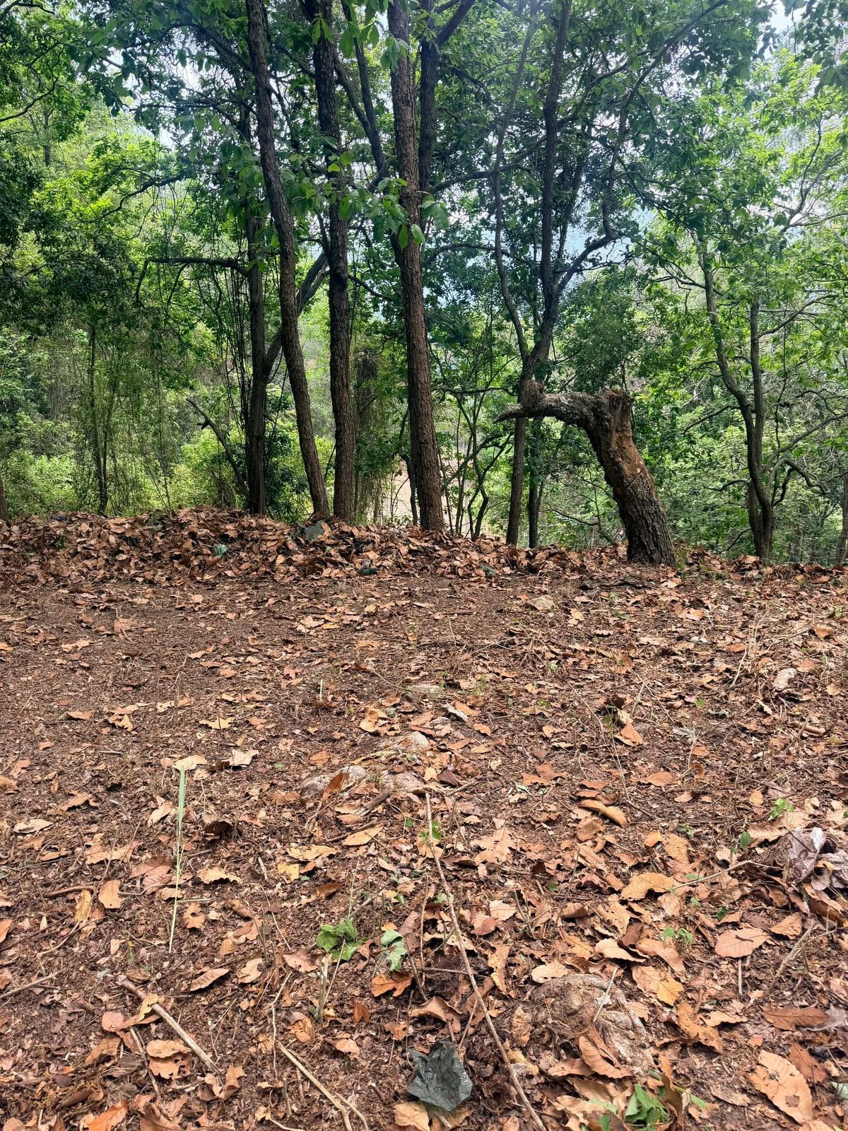 Terreno en venta en Residencial Villa Elena, Francisco Morazán en zona exclusiva salida al norte