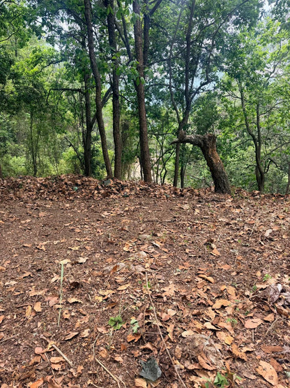 Terreno en venta en Residencial Villa Elena, Francisco Morazán en zona exclusiva salida al norte