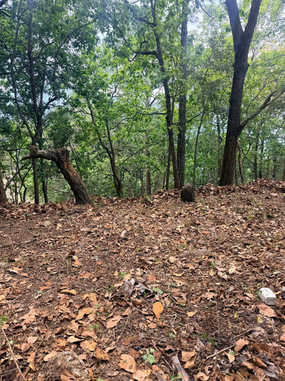 Terreno en venta en Residencial Villa Elena, Francisco Morazán en zona exclusiva salida al norte