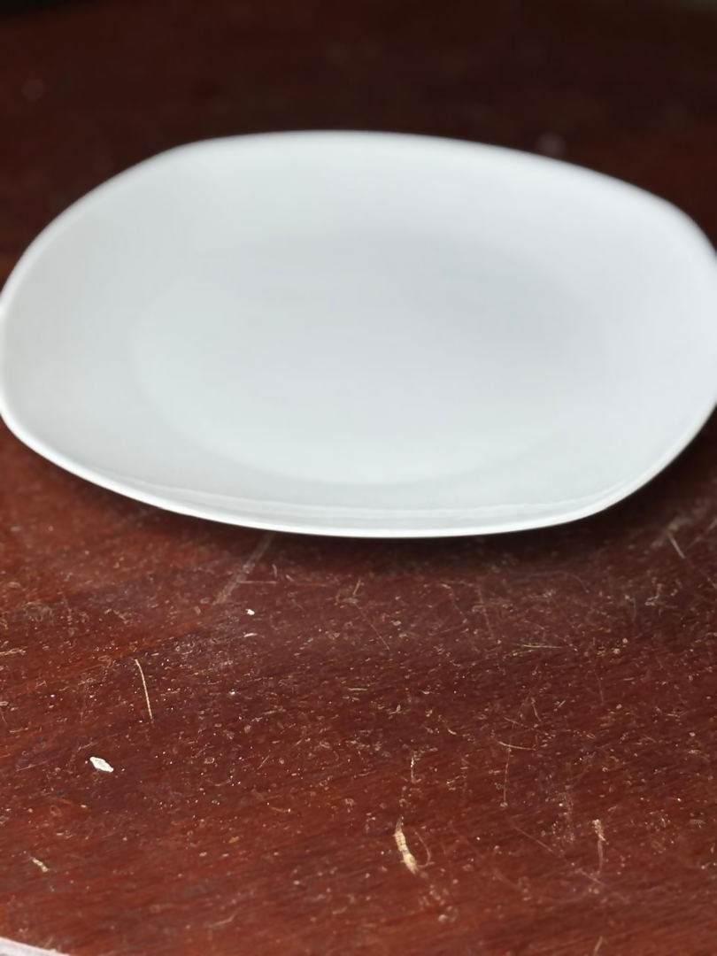 ´SET de 37 platos principales