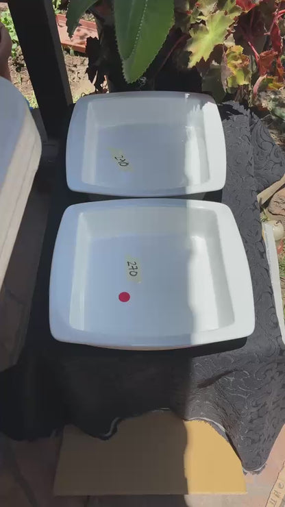 2 ensaladeras cuadradas